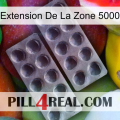 Exten Zone 5000 31